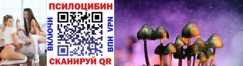 Купить  Старая Купавна  Галлюциногенные грибы Psilocybe 
