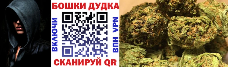 МАРИХУАНА план  Купить закладки  Старая Купавна 